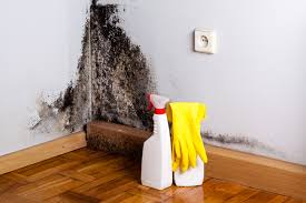 Mold Documentation for Insurance Claims in Carlisle Rockledge, AL